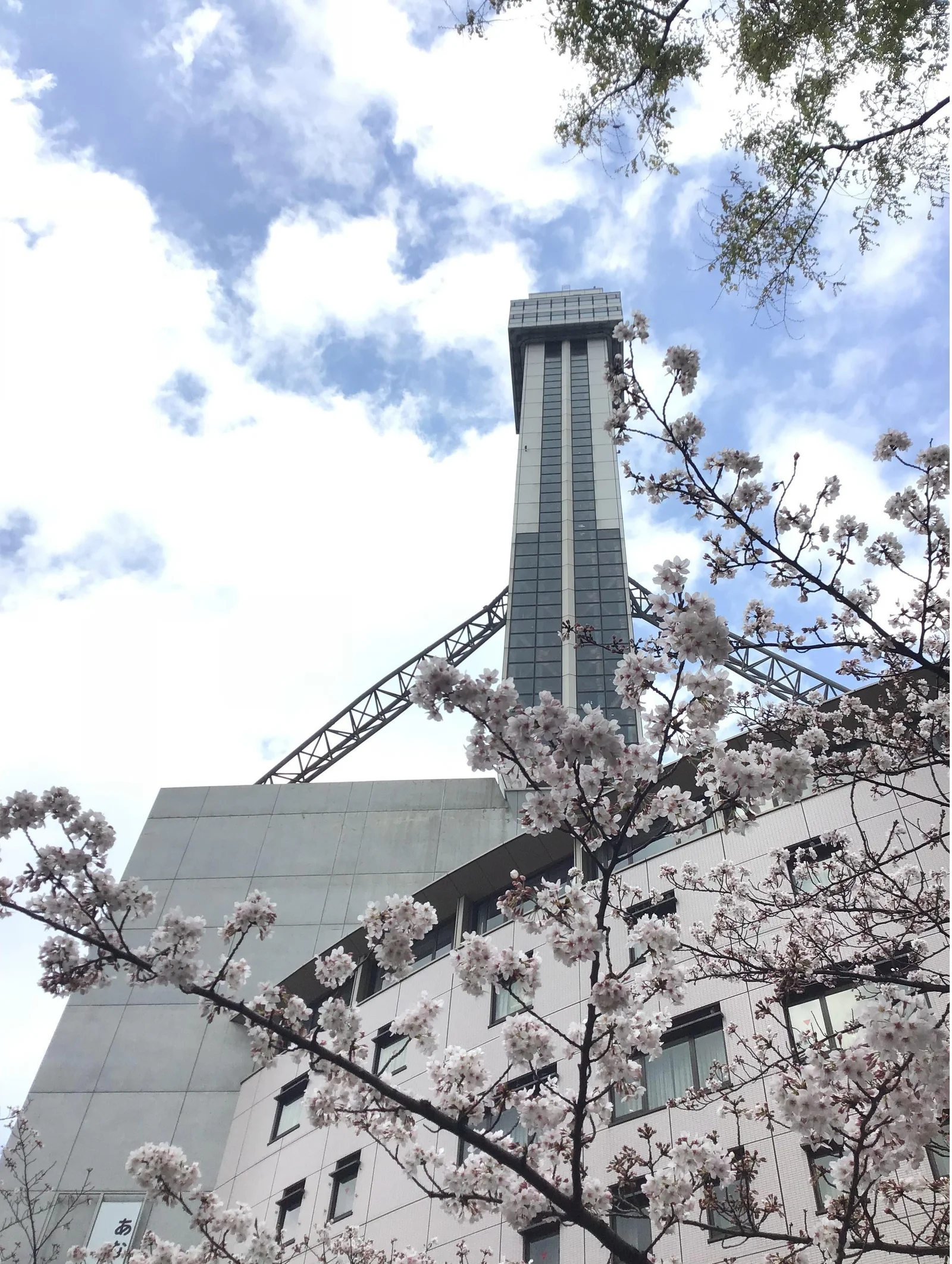 Tower Hall Funabori framed by cherry blossoms.